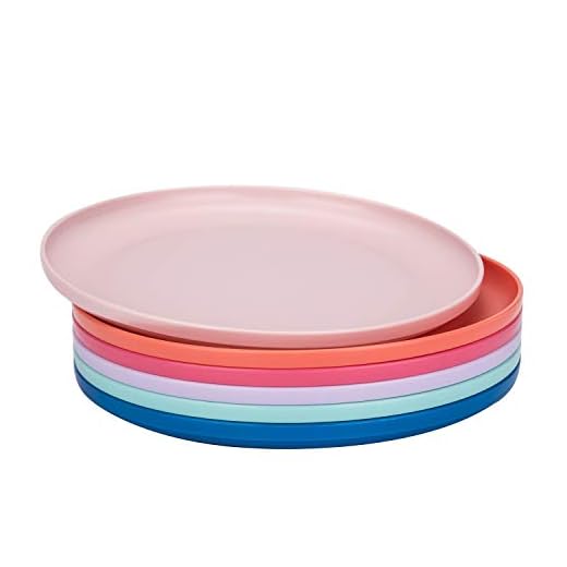Unbreakable and Reusable 9.75-inch Plastic Dinner Plates, Set of 6 Multicolor, Dishwasher Safe, BPA Free