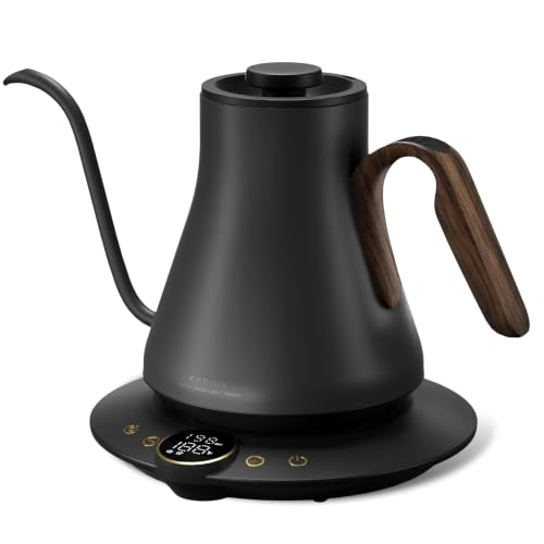 Gooseneck Electric Kettle with Precise Temperature Control