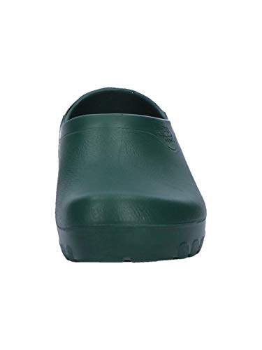 Jolly JOLL08400