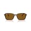 Transparent Fantasy Brown/Brown