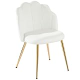 Eufurnibi Schminkstuhl Weiß mit Goldenen Metallbeinen – Muschel Design | Polsterstuhl Samt | Armloser Schminktisch Stuhl für Schlafzimmer & Wohnzimmer