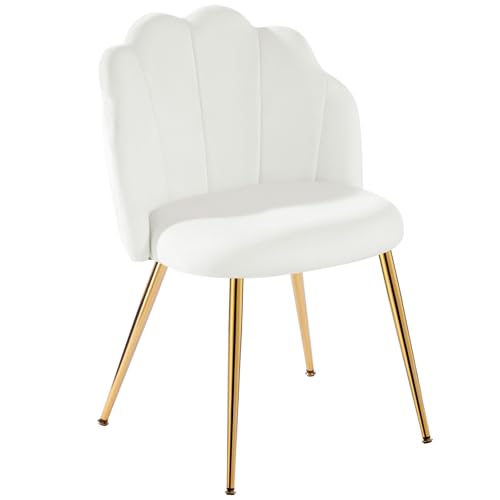 Eufurnibi Schminkstuhl Weiß mit Goldenen Metallbeinen – Muschel Design | Polsterstuhl Samt | Armloser Schminktisch Stuhl für Schlafzimmer & Wohnzimmer