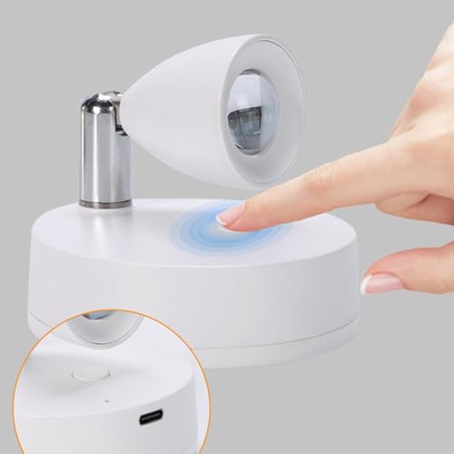 Foco LED interior recargable para resaltar arte y plantas con mando a distancia 6