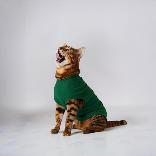 Image of Thunder Tails Printed Cat T-Shirt for Small to Large Cats & Kittens | Lightweight Breathable Cotton Pet Apparel | Cute & Stylish, Comfortable Round Neck Cat Clothes (S, Green)