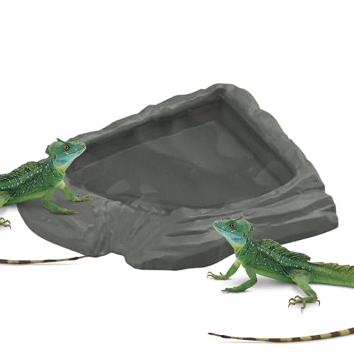 Genérico Tränke für Schildkröten | Futterschale für Schlangen, Wasser und naturalistische Nahrung für Terrarium, Aquarium, Schildkröten, Geckos, bärtige-8