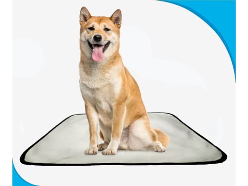 tapete pet para cães, higiênico, lavável, 1 un M - 60X80 cm