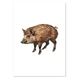 Azeeda A5 'Wildschwein' Poster/Kunstdruck (PP00289389)