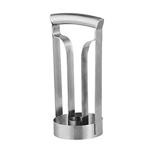 gazechimp Ferramenta de Cozinha Fácil aço Inoxidável Abacaxi Corer Slicer Cortador Descascadores