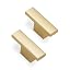 Brushed Gold