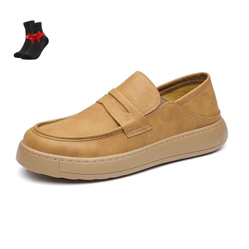 [OTEB] YJWA[t@[AXb|JVAYKEH[LOV[YAItBX^]pyʃhXV[Y(Brown,260)