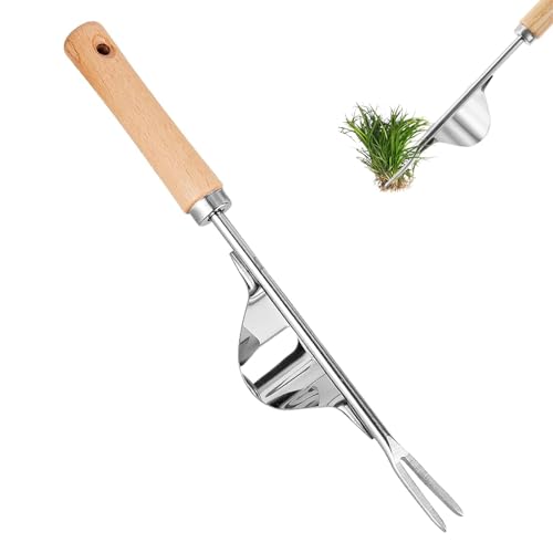 Désherbeur Manuel Acier Inoxydable | Couteau Désherbeur avec Manche en Bois | Arrache Mauvaise Herbe pour Creuser, Sarcler, Détacher | Cadeaux pour Jardiniers et Jardinières