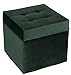 postergaleria Taburete con Espacio de Almacenamiento Acolchado de Terciopelo Suave, reposapiés, 45 x 45 cm, Color Verde Oscuro