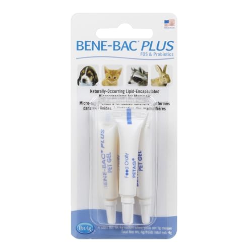 Pet-Ag Bene-Bac Plus Pet Gel - 1 g Tube, Pack of 4 - FOS & Probiotics for Dogs, Cats, Exotic & Wildlife Mammals
