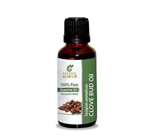 Huile essentielle Syzygium Aromaticum pure et intégrale de clou de girofle