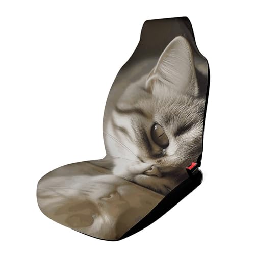 Protection de siège de voiture chat endormi idéale pour les trajets en famille en van et SUV