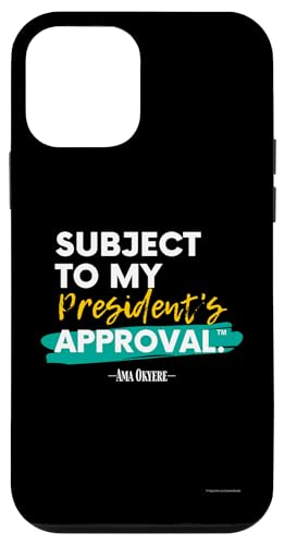 哝̂̏F̑Ώv3 X}zP[X iPhone 12 mini p