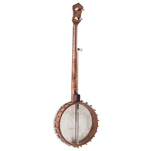 Recording King RK-OT25-BR Madison Open Back Banjo, Scooped Fretboard