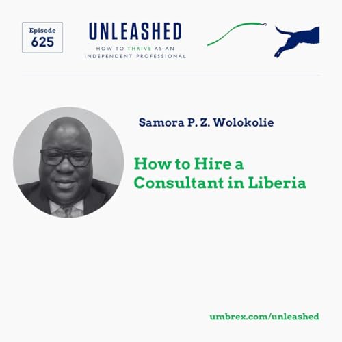 625. Samora P. Z. Wolokolie, How to Hire a Consultant in Liberia