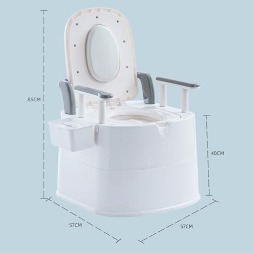 WC Toilette Portatile con Box Portaoggetti e Poggia Schiena poggiamano, per Anziani, Donna incinta e Persone con Mobilità Ridotta Uso Domestico (Bianco/Grigio)