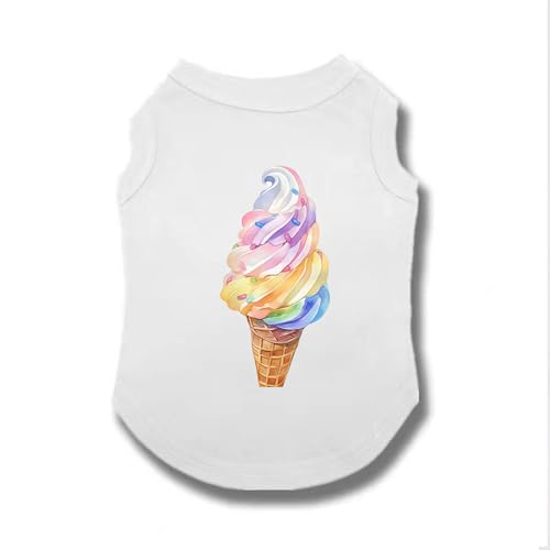 [XANPYO] ybg ĕ XS  _炩 JWA      L    L̕ ʋC Lk U o  ѕی  ybg іh~ ?Oh