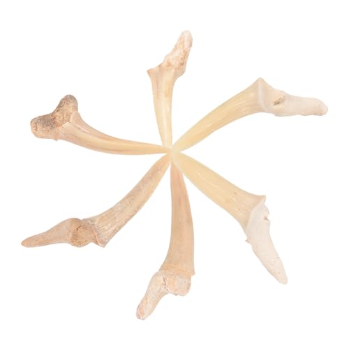 [iplusmile] T̎y_glbNX nhCh Y qpWG[ ϋvf {[CY aNX}X  6Zbg