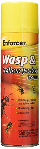 ZEP FWH-16 Yellow Jacket Wasp Control Foam Spray, 16-Ounce