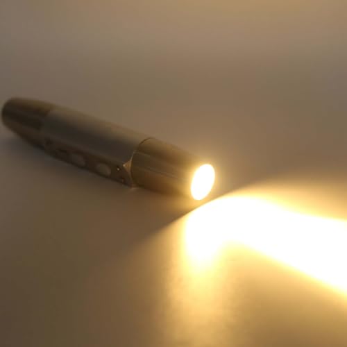 Lampe torche électrique à ultraviolets pour éliminer les traces cachées chez soi