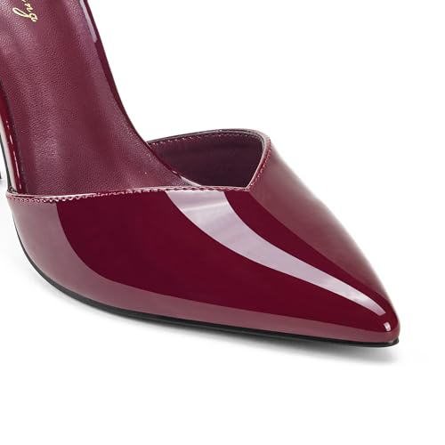 Elisabet Tang Women's Elegant 3.9 IN/10 CM Pumps Sexy Closed Toe Stilettos Classic Pointed Toe Heels Adjustable Ankle Strap Daily Date Work Shoes Wine Red by Elisabet Tang - Used condition - Image 6