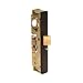 Adams Rite 4900-35-201-628 Mortise Lock, 8.875" Length