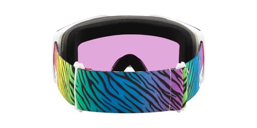 Oakley Line Miner Large gafas esquí snowboard máscara ventisca unisex protección UV 4