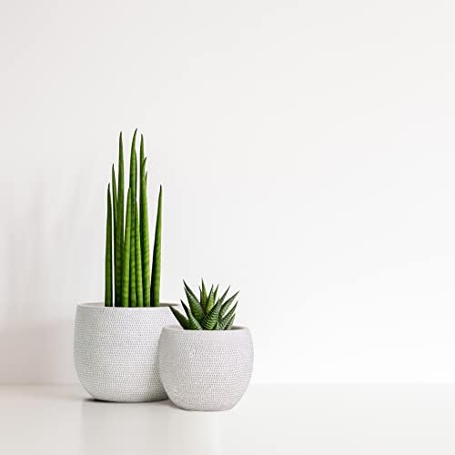 Olly & Rose Barcelona Ceramic Plant Pot Set 2 - Indoor & Outdoor Planters (White)