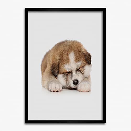 Cadre photo 50x70 cm avec affiche chiot Akita Tulup en bois MDF moderne pour tableau décoratif
