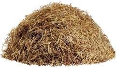 DADFirm Paddy Straw, Rice Straw for Oyster Mushroom Cultivation, 1000 GM (B0C2NJRSBP) Amazon Price History, Amazon Price Tracker