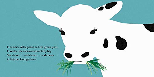 Milly Cow Gives Milk: 1