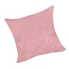 Baoblaze Zacht Fluwelen Sierkussen Kussenhoes Kussenhoes Effen Kleur voor Slaapbank – Roze-60x60cm