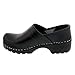 Bjork Swedish Pro Leather Clogs (EU-39, Black Protector)