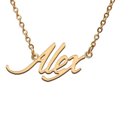 GR859C Alex Name Tag Necklaces for Her His Friends Familys Relationship Memory Jewelry Gift