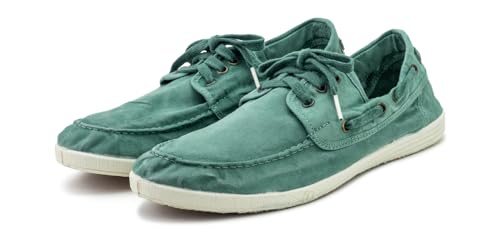 Natural World Modern4