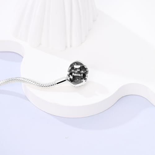 Charm Bracelet for Women Sterling Silver, Heart Clasp Snake Chain Bracelet Travel Charm Moments European Bracelet Jewelry Compatible with Pandora Charms, Gift for Her3