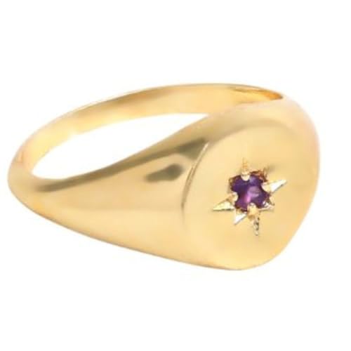 Gempires Purple Amethyst North Star Signet Rings with 14K Gold Plated, February Birthstone, Lightweight, Statement Rings for Women, Simple Everyday Jewelry, US Size-8
