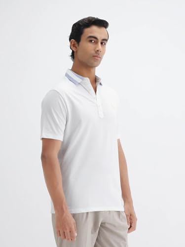 Image of Rare Rabbit Regular fit Plain Polo