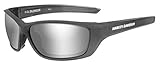Grauer Rahmen HARLEY-DAVIDSON Wiley X Silencer Smoke Grey Silver Flash Motorrad Brille
