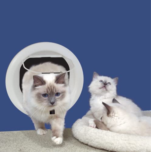 アクセサリー cat walk Catwalk Glass Fitting Multi-Magnetic Cat Door : Amazon.ca: Pet