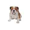 Hi Line Gift Ltd Dog Bulldog Large Statue