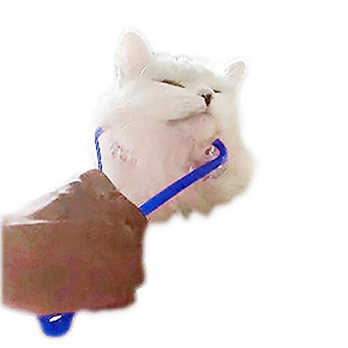 none-branded Cat Massage Roller Relaxer Face Massager for Kitty Pet Toy(Blue)