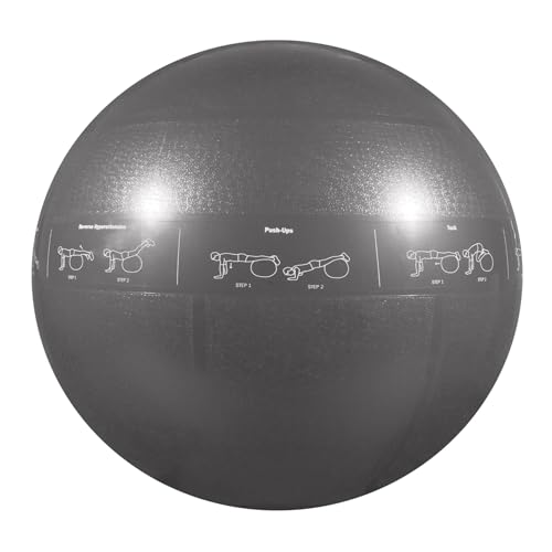 GoFit Professional Stability Ball Silver 75cm + Training DVD/Printed Exercises/Foot Pump/Bicycle Pump Adapter/Measuring Tape/Training Manual for Core Strength/Balance/Toning/Total Body Workouts