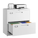 Letaya 2 Drawer File Cabinet with Lock,Metal Lateral Filing Cabinet for Home...