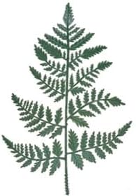 Vinyl Artificial Leather Leaf Fern Stems~ Greenery Stems for Floral Arrangements, Memorial Displays and More | 14" L Choose Quantity by FlowerBee (24)