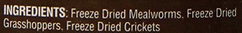 Fluker's Bearded Dragon Medley Treat Food Black 1.8 Ounce (Pack Of 1) #TOP5