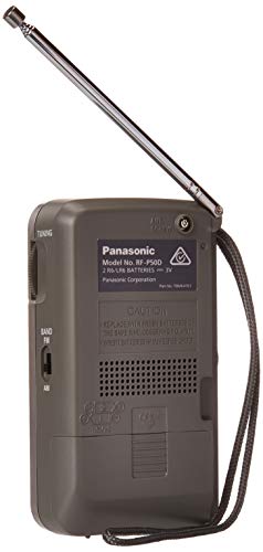 The 16 Best Panasonic Portable Radios of 2025 [Verified] - Cherry Picks